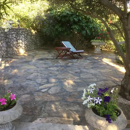 Seafront Garden