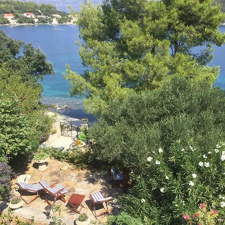 Appartement Seafront Garden *