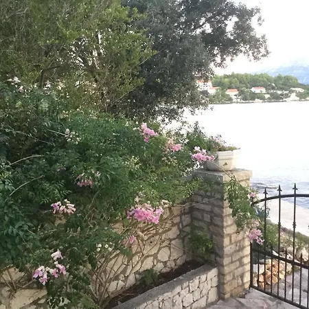 Seafront Garden